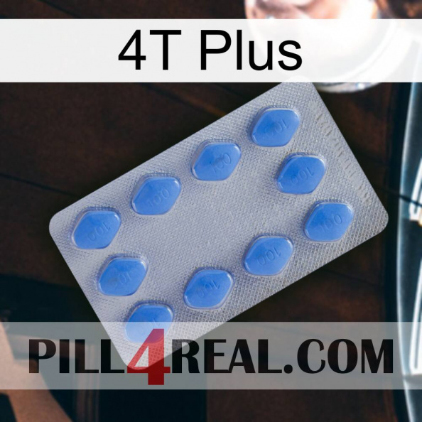 4T Plus 21.jpg